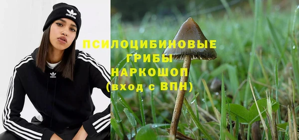 дмт Баксан